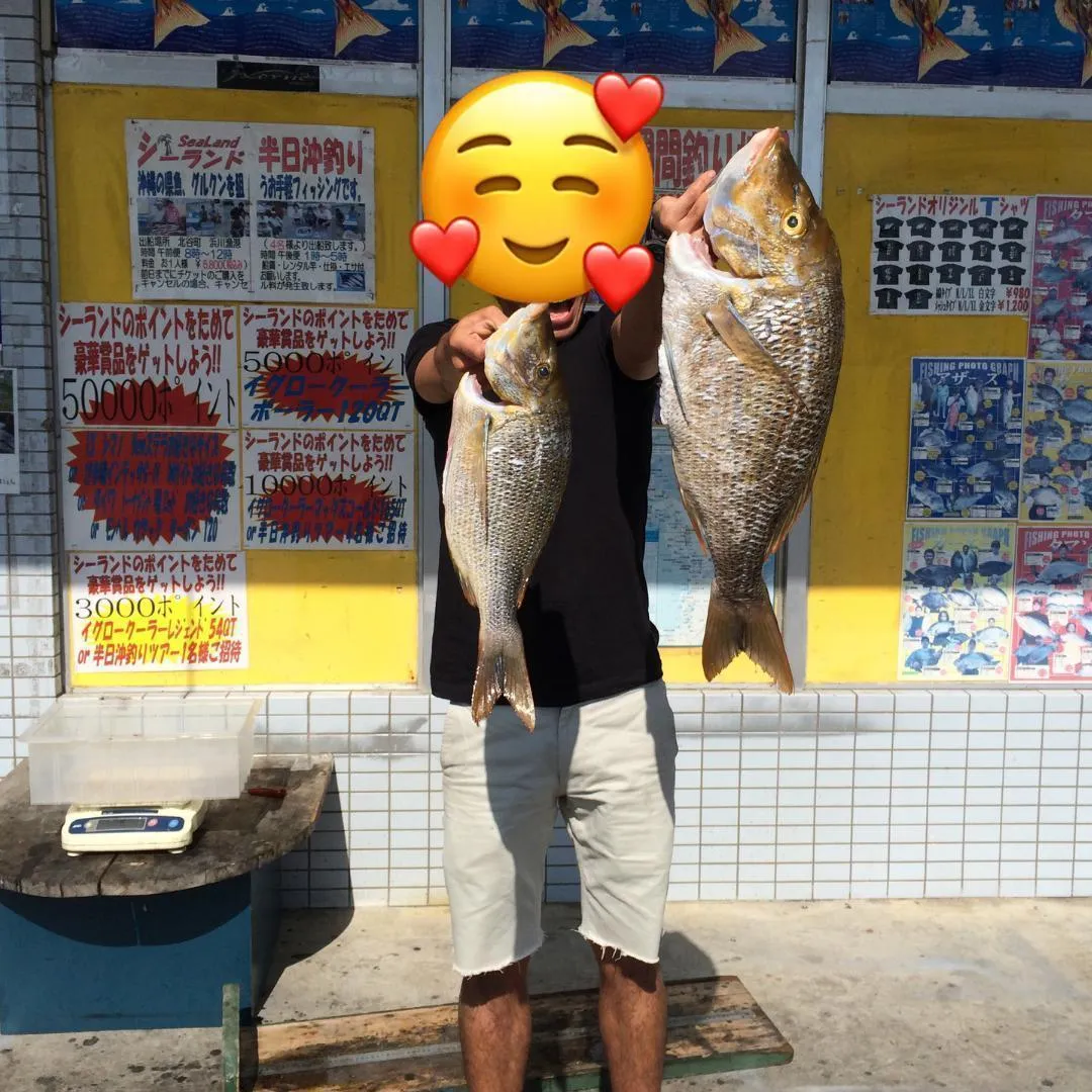 ヒットセンサーの写真 10