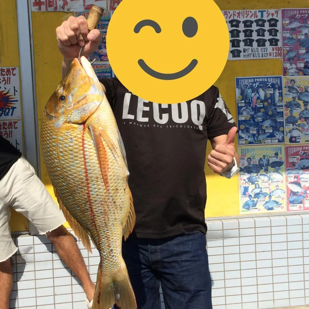 ヒットセンサーの写真 7